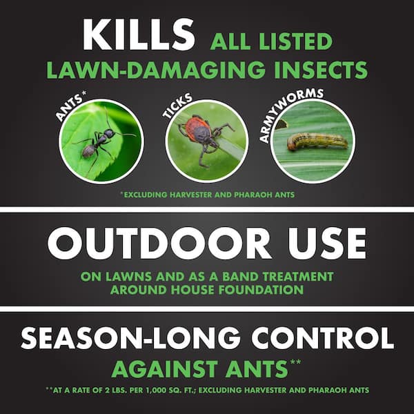 20 lb. Triazicide Lawn Insect Killer Granules (2-Pack)