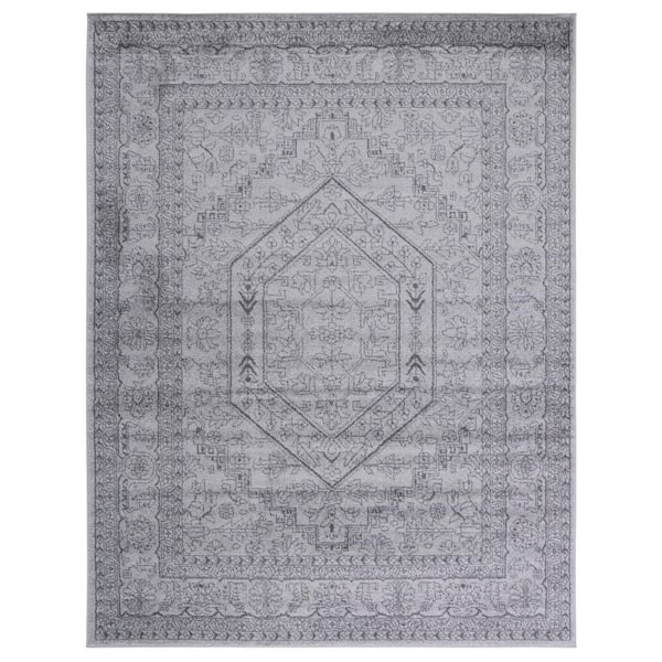 Adirondack 9 ft. x 12 ft. Light Gray/Dark Gray Border Medallion Area Rug