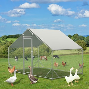 120 in. x 79.2 in. x 74.4 in. Walk-In Chicken Coop Waterproof Chicken Cage