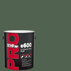 1 gal. #BXC-60 Pasture Green Flat Exterior Paint