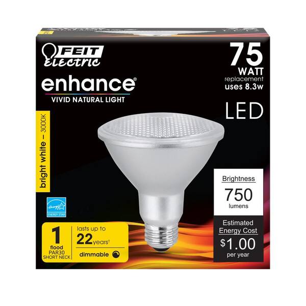 feit par30 led