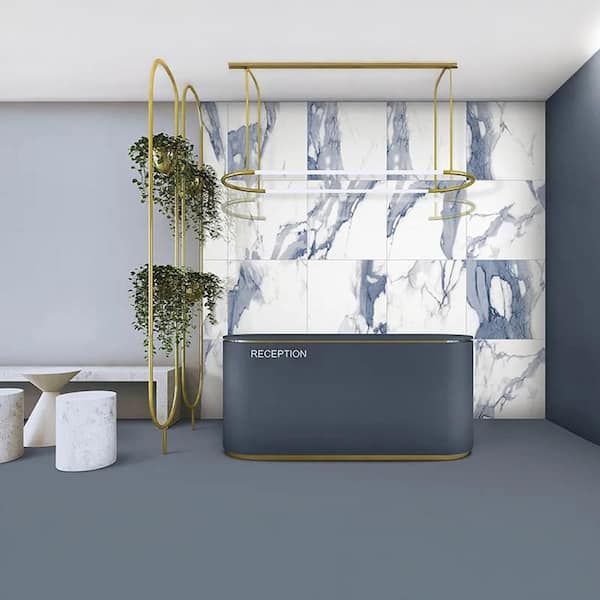 Veneto 23.6" x 23.6" Polished White with Blue-Gray Porcelain Square Wall and Floor Tile 15.5 sq. ft./Case-4 Sheets