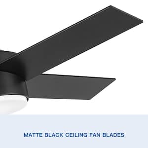 Atalanta 44 in. Indoor Black LED Ceiling Fan with Reversible Motor and Dimmable