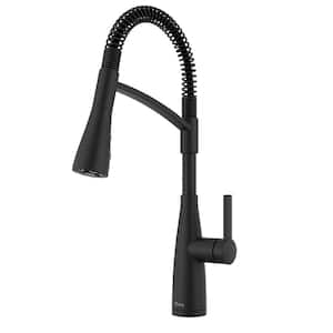 CCP SURUWAL S Black 新品 Pfister Stellen Single-Handle Pull Down Sprayer Kitchen Faucet in