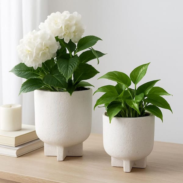Liv & Skye 6 in. and 7 in. White Ceramic Modern Footed Decorative Pots (Set  of 2) 21866