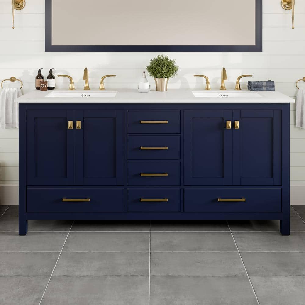 Reviews for Eviva Aberdeen 72 in. Double Sink Blue Bath Vanity with ...