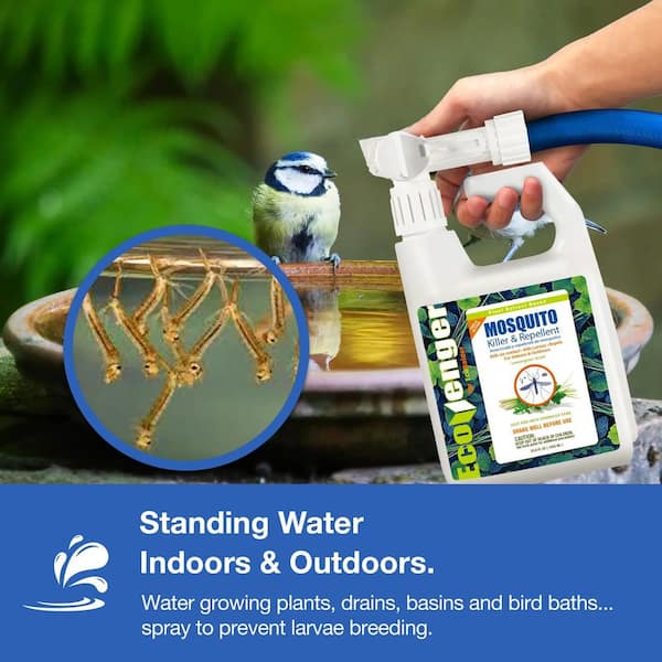 ECOVENGER Mosquito Hose Spray Concentrate by EcoRaider 32OZ