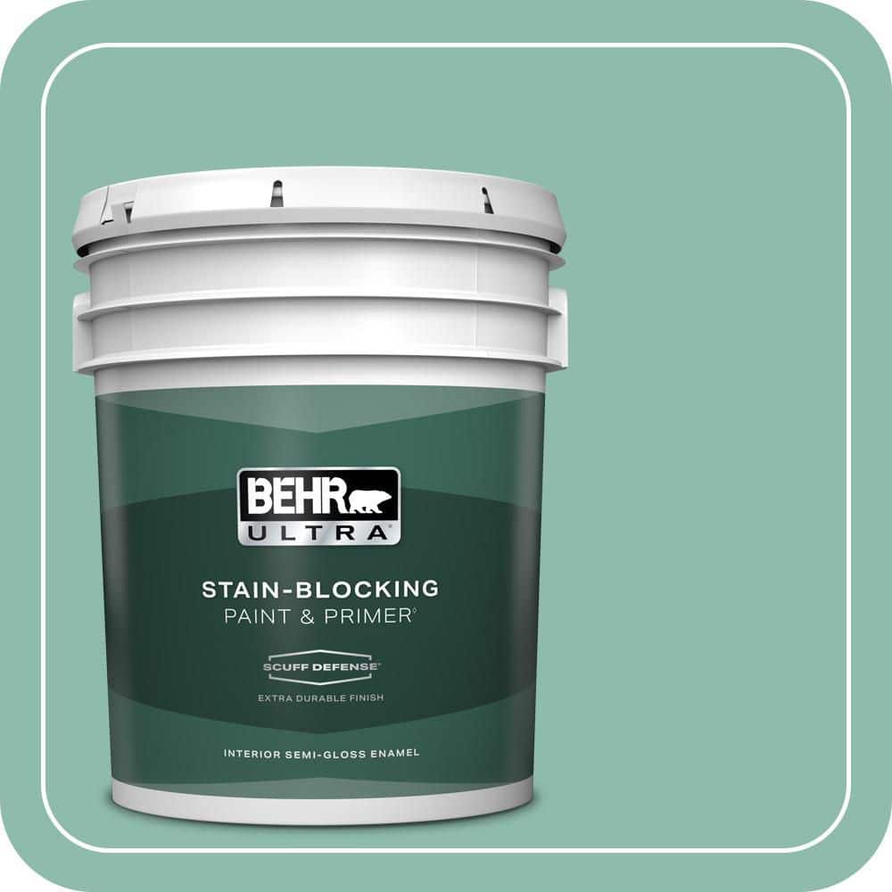 5 gal. #MQ6-37 Mild Evergreen Extra Durable Semi-Gloss Enamel Interior Paint & Primer price history on PriceWatchPro