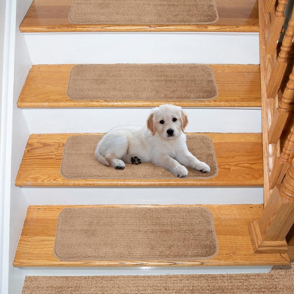 The Slip-Resistant Indoor Mat My Dog Hasn't Been Able to Destroy