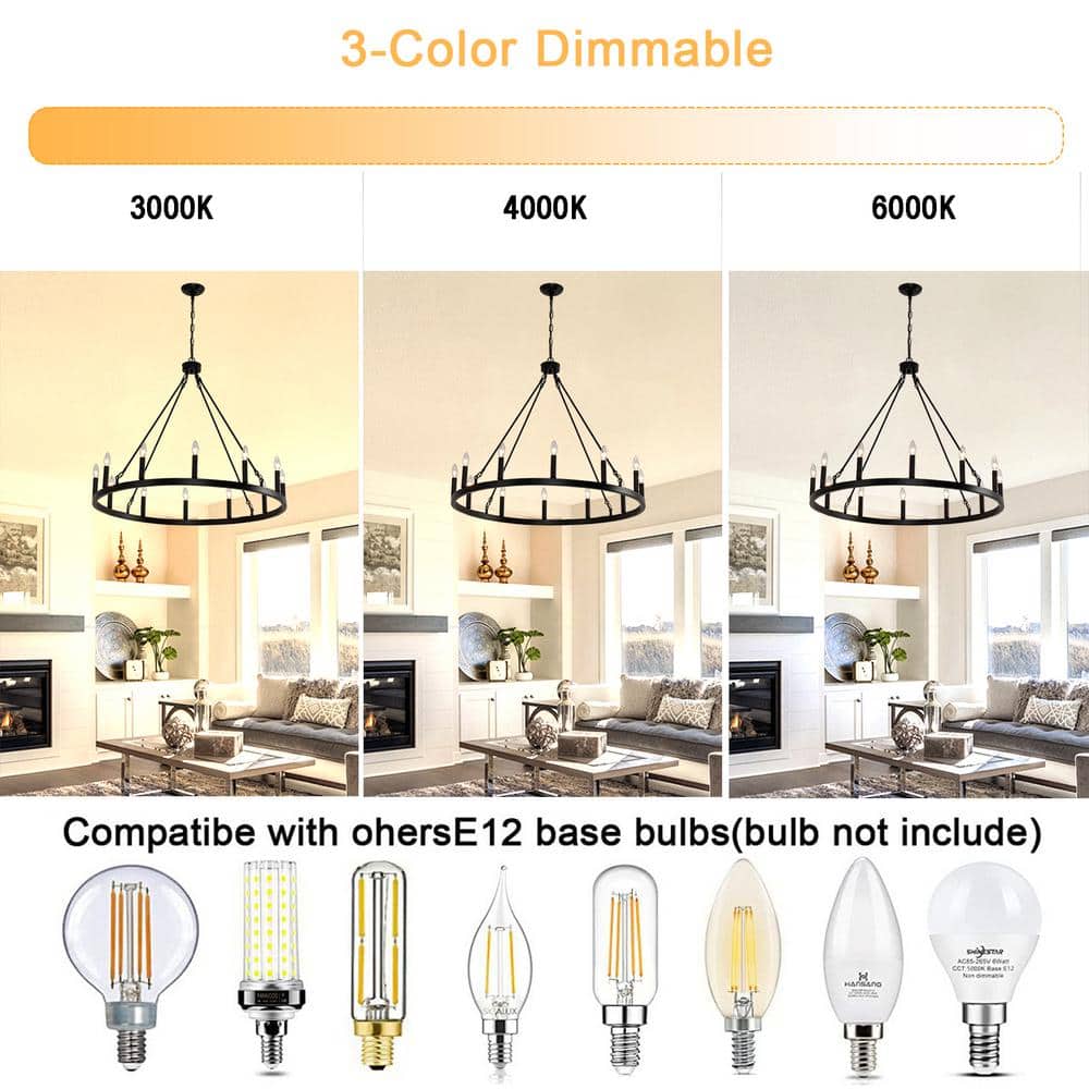 Black Metal 12-Light Outdoor Wagon Wheel Chandelier