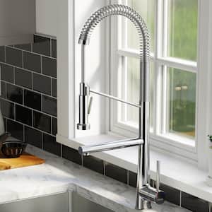 Tumba Single-Handle Pull-Down Sprayer Kitchen Faucet in Chrome
