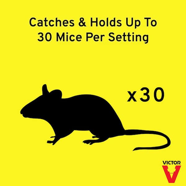 Humane Mouse Trap Mouse Catcher Easy to Set for House Indoor Utopia Home