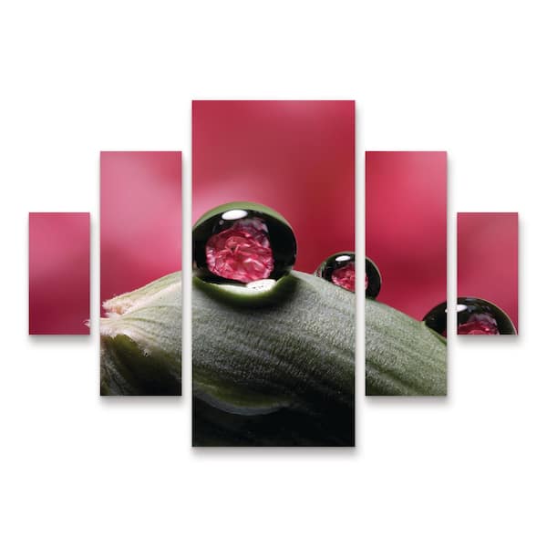 Trademark Fine Art Gordon Semmens Dew Drops Macro 06 5-Piece Panel Set Unframed Photography Wall Art 34 in. x 44 in.
