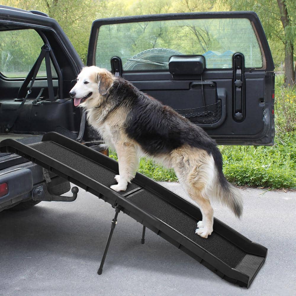 Coziwow 62-Inch Black Foldable Plastic Dog Ramp with Non-Slip Surface