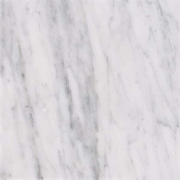 Caravena 18 in. x 18 in. Polished Marble Floor and Wall Tile (11.25 sq. ft./Case)