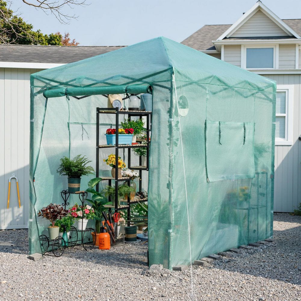 Tozey 8 ft. W x 6 ft. D Collapsible Metal Walk-In Greenhouse
