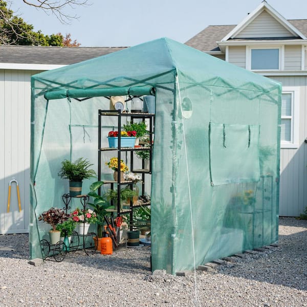 8 ft. W x 6 ft. D Collapsible Metal Walk-In Greenhouse, Green