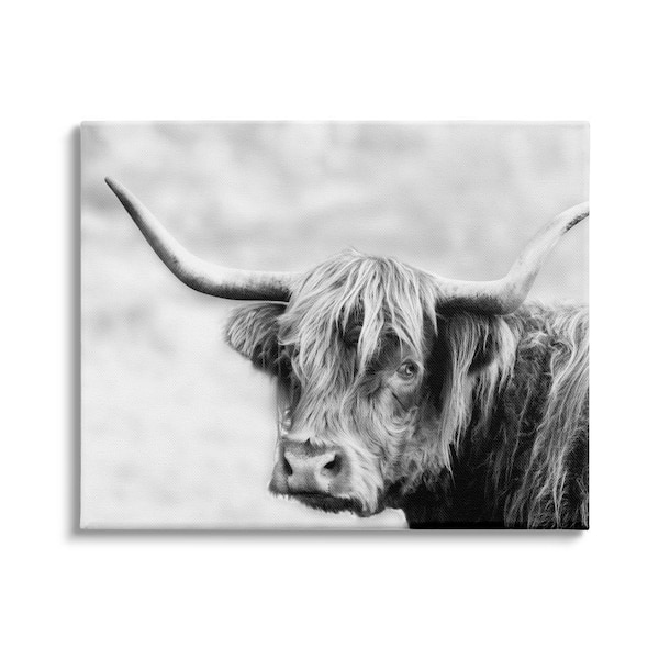 Stupell Industries Bold Country Cattle Photography Wild Animal by Danita Delimont Unframed Print Animal Wall Art 24 in. x 30 in.