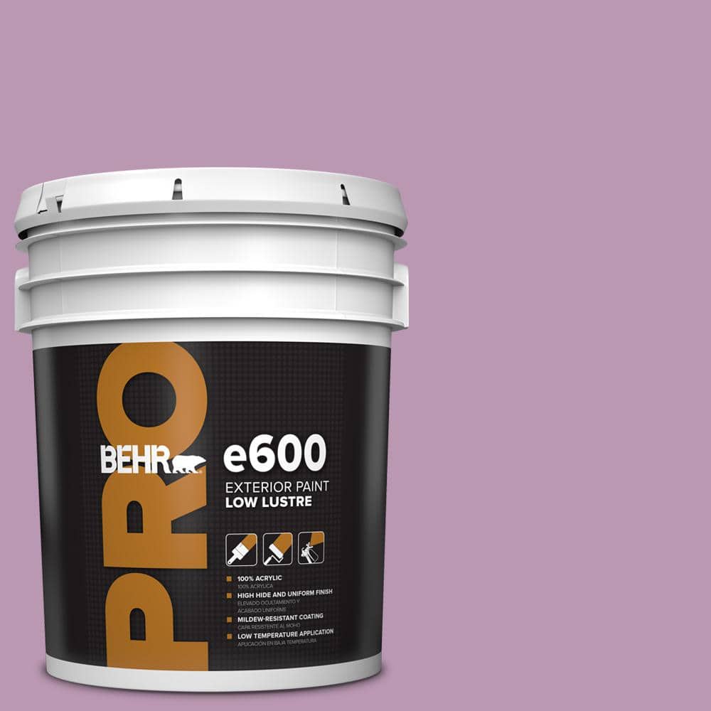 5 gal. #M110-4 Cherished Low Luster Exterior Paint price history on PriceWatchPro