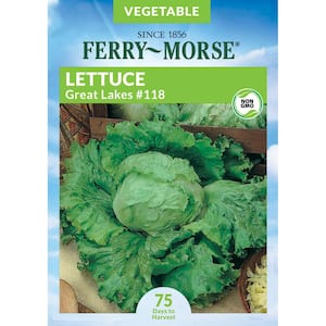 Lettuce Great Lakes #118 Vegetable Seed