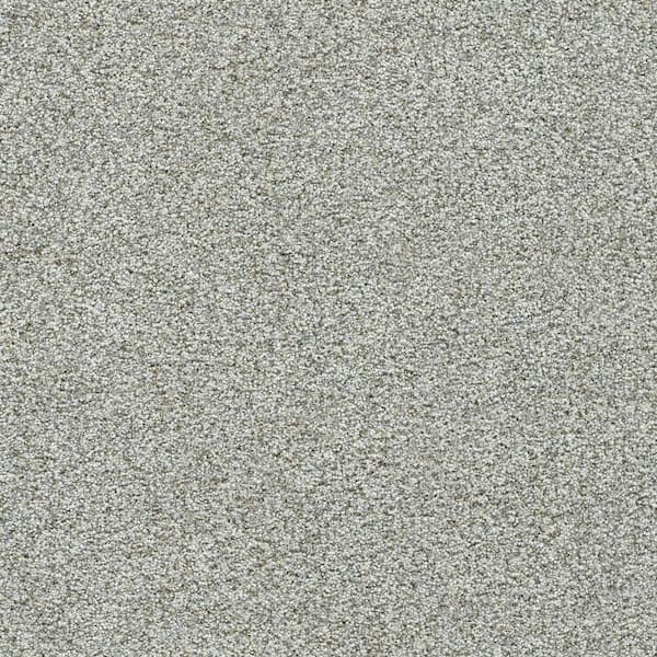 Lifeproof 8 in. x 8 in. Texture Carpet Sample - Folklore III - Color Legend