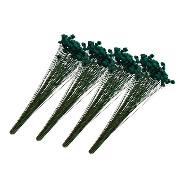 18 in. in. Tiffany Blue Indoor Non Artificial Dried Preserved Little Star Flowers, Pack of 4