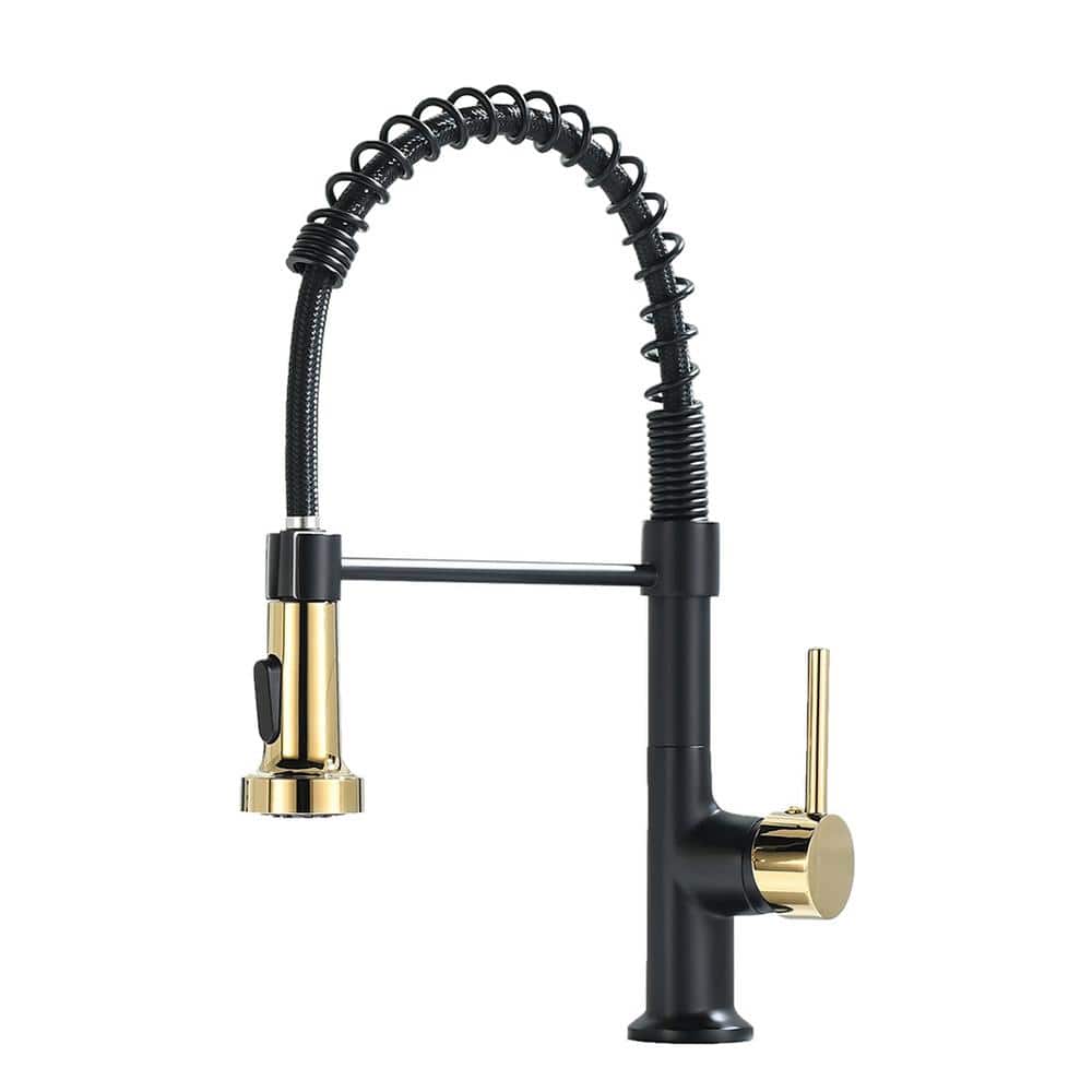 Single Handle Pull-Down Sprayer Kitchen Faucet with Dual Function Spray Hea