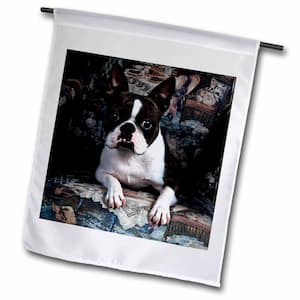 Dogs Boston Terrier 1 ft. x 1-1/2 ft. Boston Terrier Philippe Flag