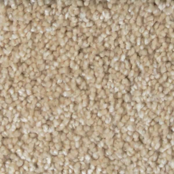 Home Decorators Collection Stargazer  - Daydreamer - Beige 32 oz. SD Polyester Texture Installed Carpet