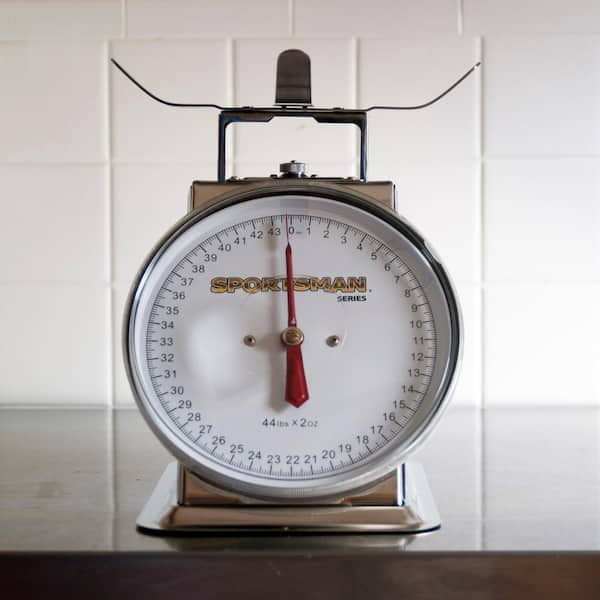 Sportsman Series 44 Lb Stainless Steel Dial Scale SSDSCALE