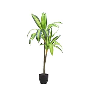 The Mod Greenhouse 40 in. Artificial Dracaena Tree in 5.5 in. Plastic Pot (22 Leaf) in.