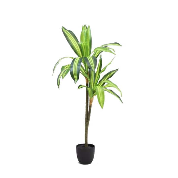 phoenix DECOR The Mod Greenhouse 40 in. Artificial Dracaena Tree in 5.5 in. Plastic Pot (22 Leaf) in.