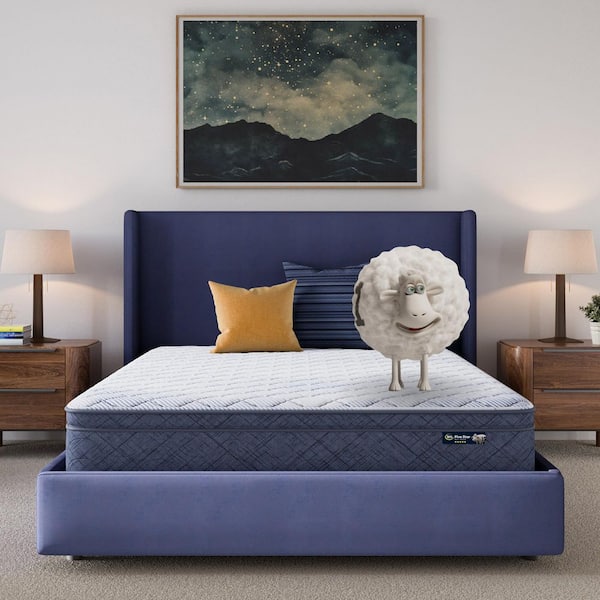 5 Star Mattress Sleep to Go Queen Plush Pillow Top 10 in. Mattress in a Box
