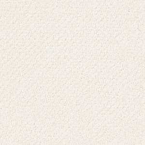 8 in. x 8 in. Loop Carpet Sample - Lightbourne - Color Pale Cream