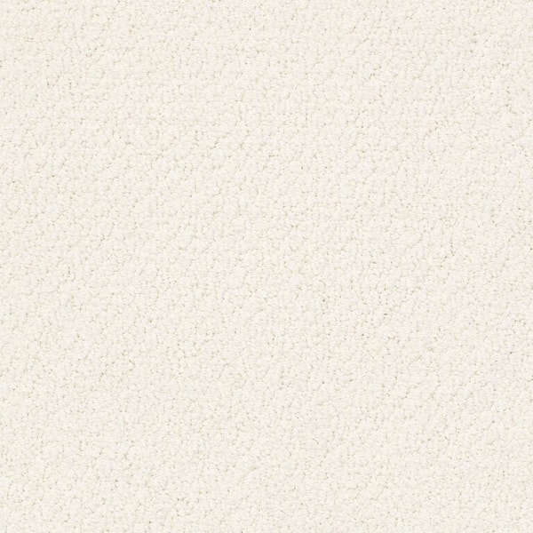 8 in. x 8 in. Loop Carpet Sample - Lightbourne - Color Pale Cream