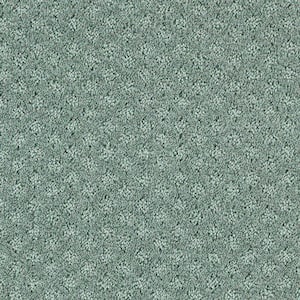 Transcends Time Ocean Spray Green 39 oz. Triexta Pattern Installed Carpet