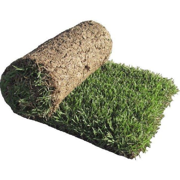 Harmony 5 sq. ft. Fescue Sod FESC5SF The Home Depot