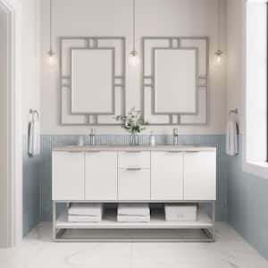 Brearly 60 in. W x 22 in. D x 35 in. H Double Sink Freestanding Bath Vanity in Glossy White with Pietra Gray Quartz Top