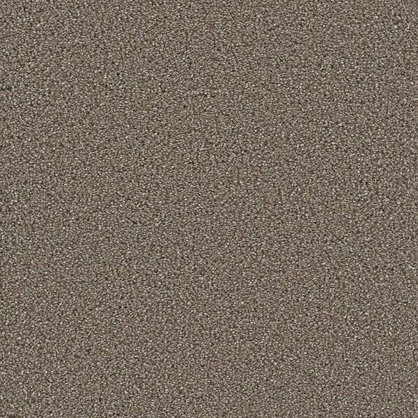 Lifeproof Carpet Sample - Harvest II - Color Chase Texture 8 in. x 8 in.