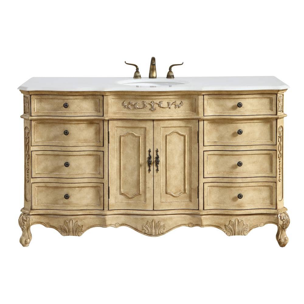 Simply Living 60 in. W x 21 in. D x 36 in. H Single Sink Bath Vanity in Ant