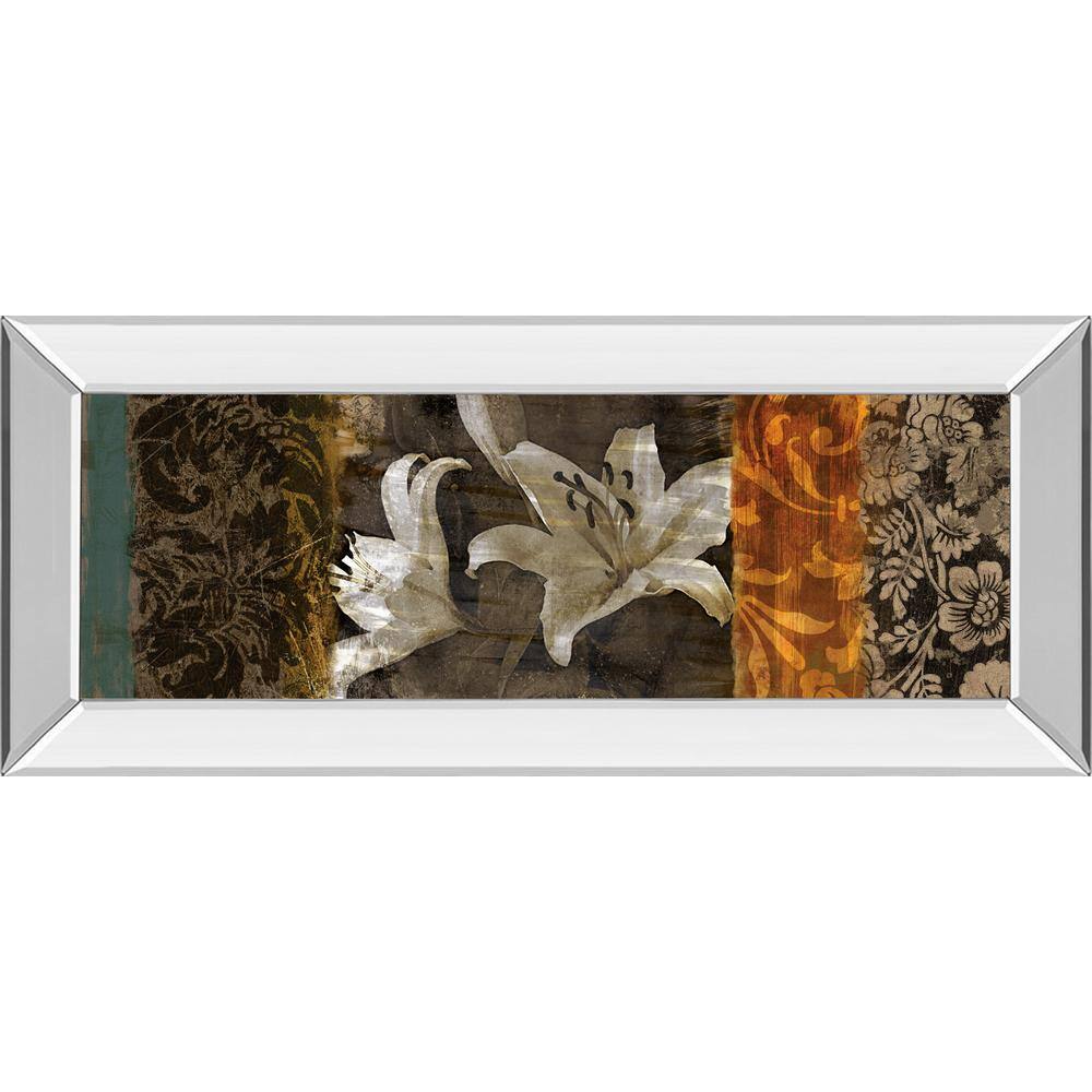 Evanescent Il By Keith Mallet Mirror Framed Print Wall Art 18 in. x 42 in. price history on PriceWatchPro
