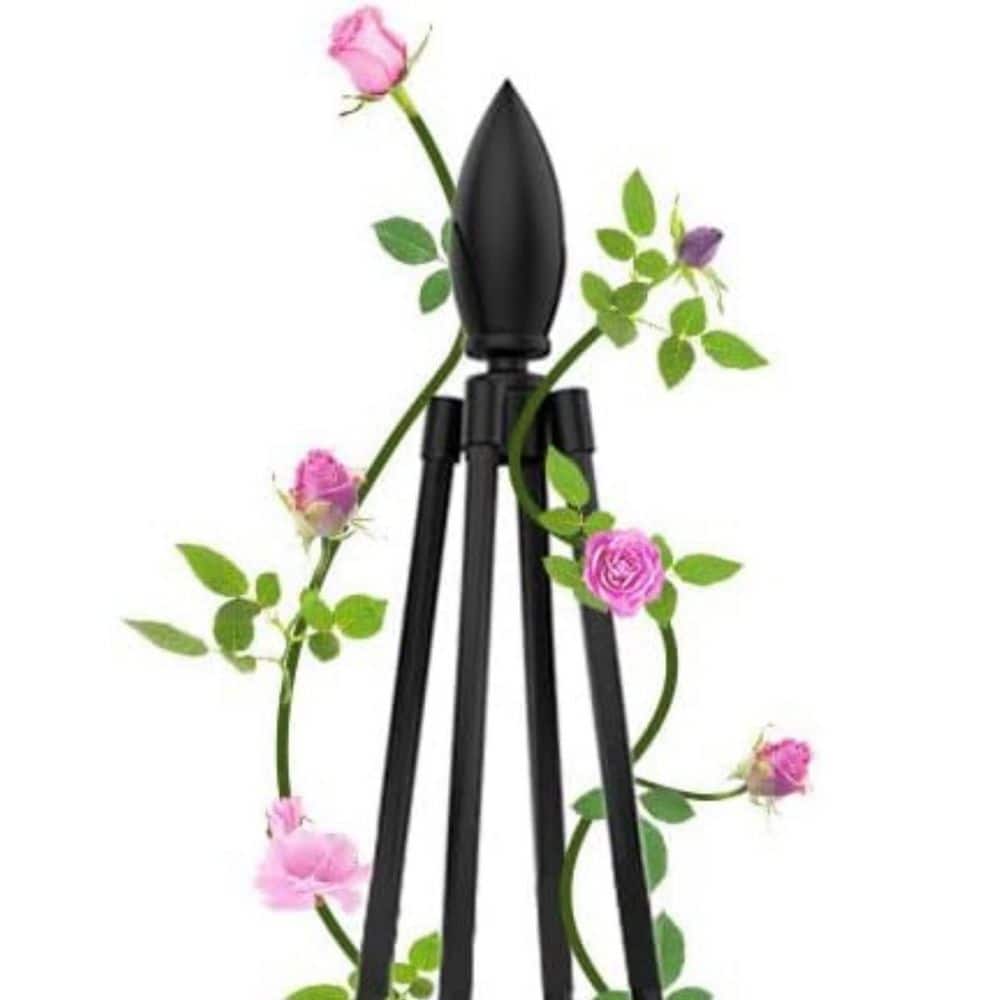 Metal PE Coated Adjustable Garden Trellis for Climbing Plants, Flowers, and Vegetables price history on PriceWatchPro
