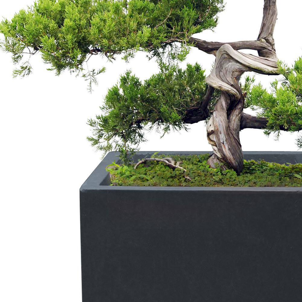 Charcoal Tall Rectangular Concrete Planter with Drainage Hole
