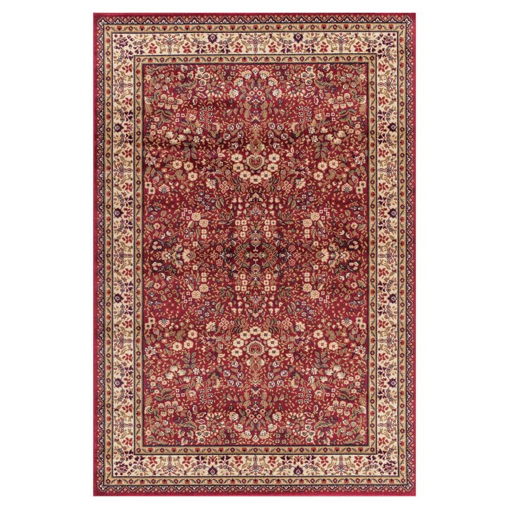 Jewel Sarouk Red 8 ft. x 10 ft. Area Rug price history on PriceWatchPro