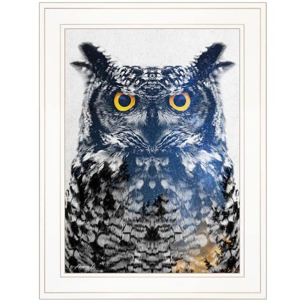 HomeRoots Charlie Night Owl 1-Piece Framed Wall Art 19 in. x 15 in.