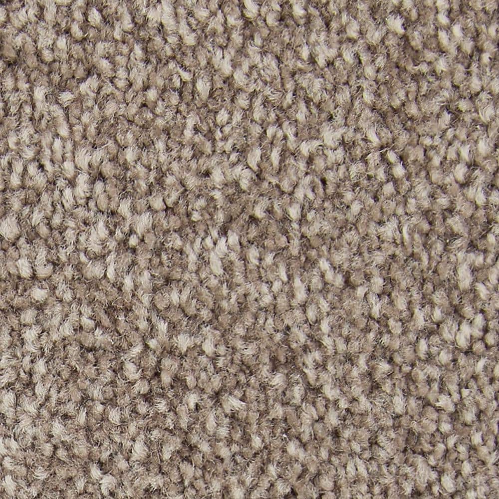 8 in. x 8 in. Texture Carpet Sample - Gentle Peace I -Color Tapestry price history on PriceWatchPro