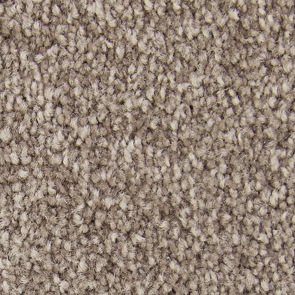 8 in. x 8 in. Texture Carpet Sample - Gentle Peace II -Color Tapestry