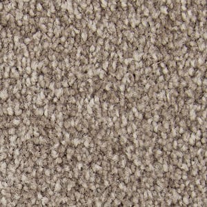 Gentle Peace II  - Tapestry - Brown 55 oz. Triexta Texture Installed Carpet