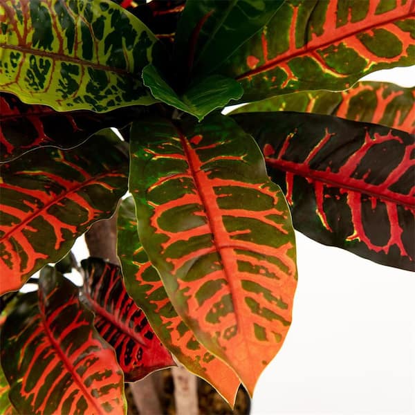 HONEY JOY 40 in. Tall Artificial Croton Plant with Variegated