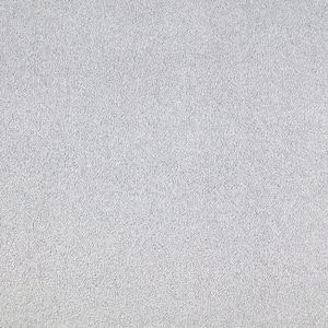 Silver Mane I  - Bonita - Blue 50 oz. Triexta Texture Installed Carpet